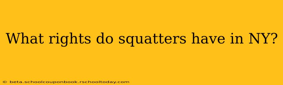 What rights do squatters have in NY?