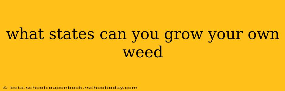 what states can you grow your own weed