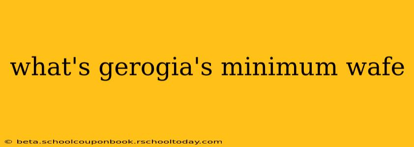 what's gerogia's minimum wafe