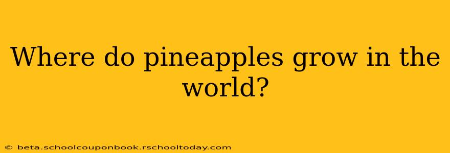 Where do pineapples grow in the world?