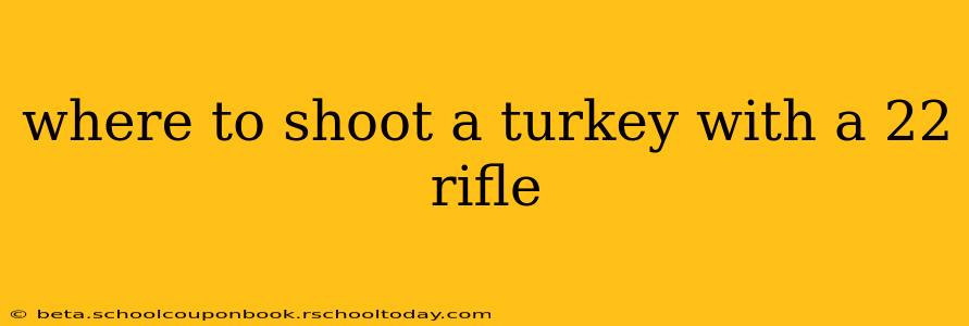 where to shoot a turkey with a 22 rifle