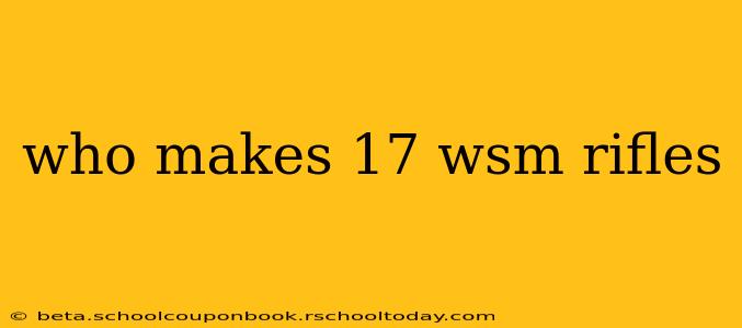 who makes 17 wsm rifles